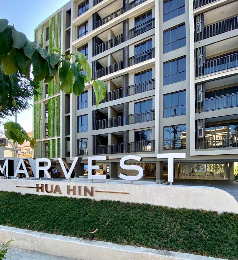 New Cosy At Marvest Center Apartment